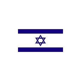 Israel Flag Size 4 Ft. By 6 Ft. - 100% Made in the USA - Durable, Nylon Outdoor Israeli Flag