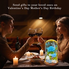 Loveliome Long Lasting Rose Carnations Fresh Flowers Present for Women Mom Grandma, Real Foever Delivery Prime Flowers Bouquet in Glass Dome LED Light with for Home Decor, Blue