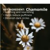 Ginger Chi Under Eye Brightener Serum Depuffing Dark Circles Under