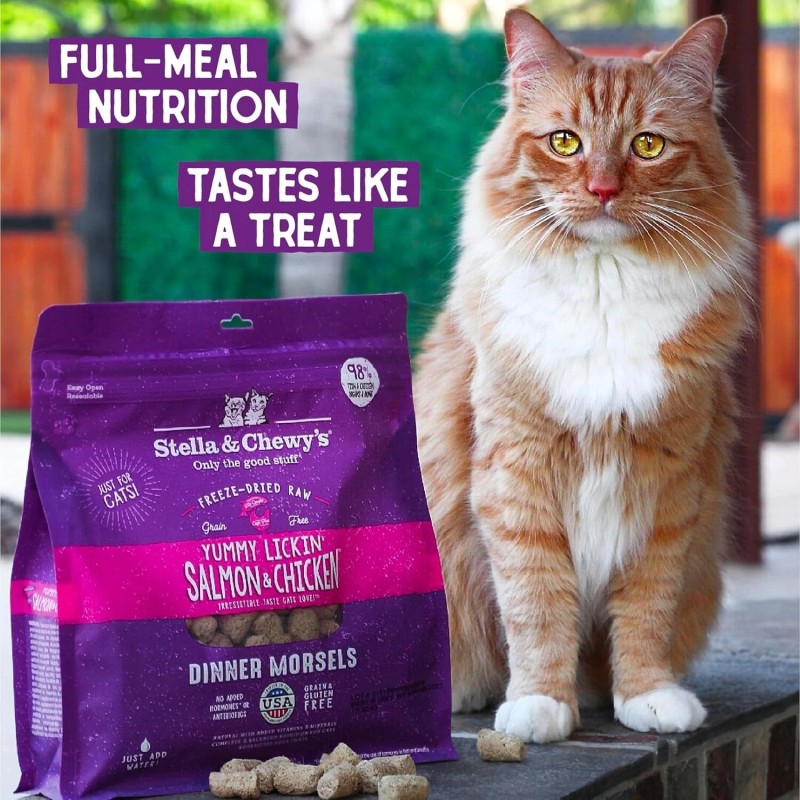 Stella & Chewy's Freeze-Dried Raw Cat Dinner Morsels - Salmon