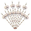 Xumann 20PCS Reusable Plastic Hen Party Accessories Straws Set for