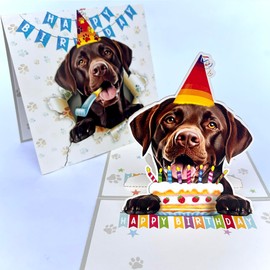 Momapopup 3D Pop-Up Labrador Retriever Dog Birthday Card - Happy Birthday Greeting for Dog Lovers - Labrador Retriever Dog 3D Birthday Pop Up Cards (Chocolate Labrador Retriever)