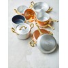 Ballarini 75001-096 Selvin Tarvola Lid, 4.3 inches (11 cm), Made