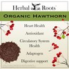 Herbal Roots Organic Hawthorn Berry Capsules | Extra Strength 1,200mg