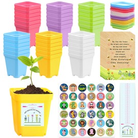 Joyesplay 36 Pack Gifts for Students from Teachers,Flower Pots and Envelopes School Leavers Gifts End of Year Term Gifts for Year 6 Students Gifts