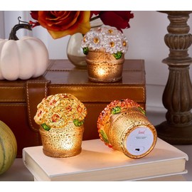 Set of 3 Illuminated Mercury Glass Mums by Valerie