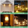 HNYYZL 12 Pack G8 Halogen Light Bulbs - 50W 120V