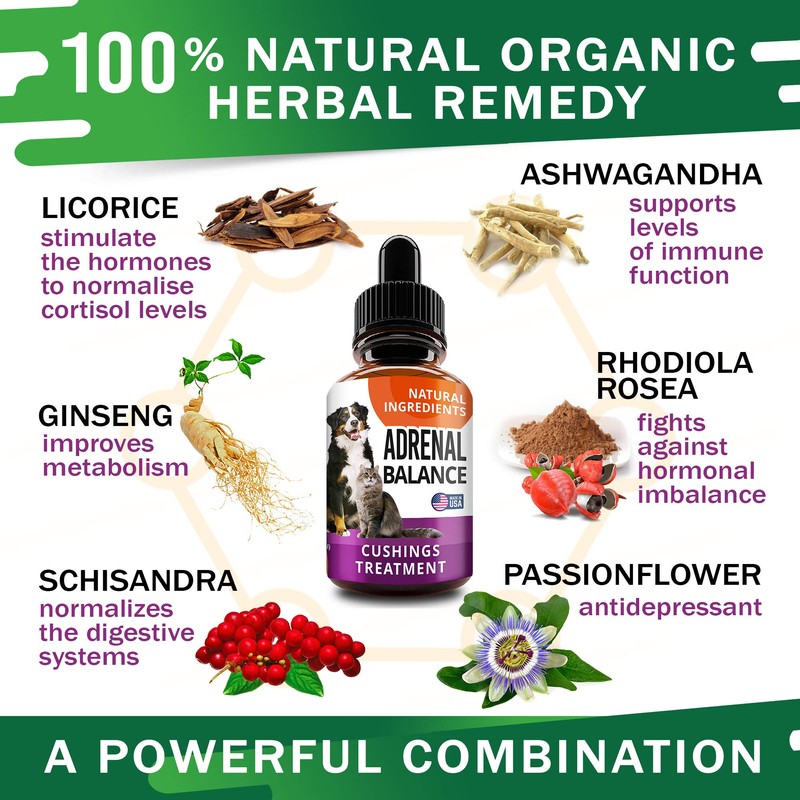 Adrenal Balance for Dogs and Cats - Cushings Treatment for