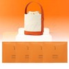Sulwhasoo Bucket Bag / Sulwhasoo Concentrated Ginseng Renewing Mask Set of 4 / 설화수 버킷백 / 설화수 자음생 마스크 4장 세트