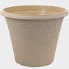 Prisma Decorative 12" Ginger Planter