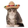 Rubies Pet Sombrero Hat with Multicolor Trim
