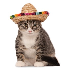Rubies Pet Sombrero Hat with Multicolor Trim