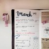 Travelers Notebook Inserts - Graph Refills for Standard Size Travelers