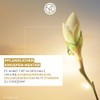 Yves Rocher Anti-ageing global, radiance care eyes, anti-ageing care against