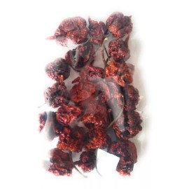 PepperliciousS Pepper Company REAPER X   20 WHOLE DRIED PEPPER PODS  ~33% hotter than standard Carolina Reaper