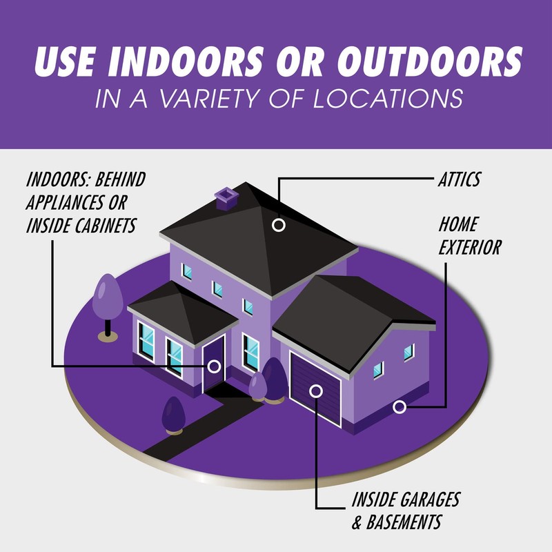 Tomcat Mouse Killer Refillable Bait Station - Advanced Formula: Child