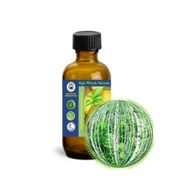 60ml (2oz) Birch Bud Essential Oil (Betula Pendula, Silver, European)