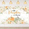 Mocsicka Pumpkin Baby Shower Backdrop Fall Baby Shower Background A
