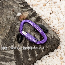 Carabiner 12KN Auto-Lock BRAVESHINE Load Capacity 2,645 lbs (1,200 kg) Locking Carabiner D-Ring Lightweight Hammock Tarp Camping Load Hook Dog Leash Multi-Functional 2-Piece Set (Purple 2 pieces)