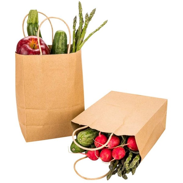 Saving Nature Kraft Paper Medium Shopping Bag - 10" x 6 3/4" x 12" - 100 count box - Restaurantware