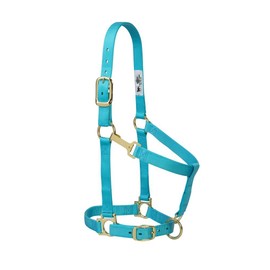 Weaver Leather Basic Adjustable Nylon Halter, Turquoise, 1" Average Horse