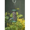 Ring-Pull TO-S1G Small Bird Feeder for Seeds - Green