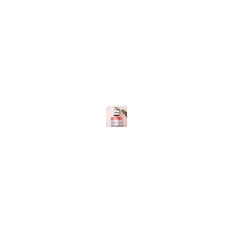 10pcs Labiales Lana Del Rey Juego De Lápiz Labial Mate