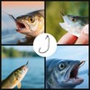 FishTrip Swimbait Hook, 25Pcs Twist-Lock Worm Hooks with Centering Pin