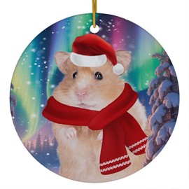 Funny Orange Hamster Christmas Ornament 2025 Ceramic Circle White - Festive Winter Northern Lights Holiday Xmas Tree Hanging Decoration Gifts for Hamster Lovers