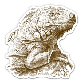 Iguana - 5" Vinyl Sticker - for Car Laptop I-Pad - Waterproof Decal