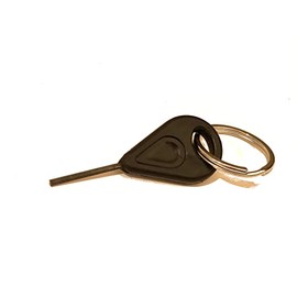 Master Key with Key Chain Attachment for 6mm Collars, Cuffs, Bracelets, Anklets