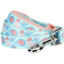 Blueberry Pet 5 Colors Paisley Flower Print Dog Leash with Soft & Comfortable Handle, 4 ft x 1", Pastel Blue, Large, Leashes for Dogs