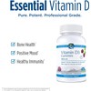 Nordic Naturals Pro Vitamin D3 Gummies, Wild Berry - 1000