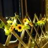 Sothuba Solar Sunflower String Lights Outdoor Waterproof, 16FT 50LED Artificial