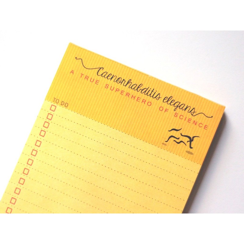 Roundworm (Caenorhabditis elegans, C. elegans) to Do List and Lined