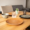 Tarhong TT20744176 Mat, Salad Plate, 8.7 inches (22 cm), Black,