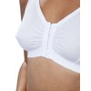 Eden House Ladies | Pack of 3 Bra Original Front