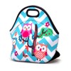 Portable Insulated Lunch Bag Large Tote Bag Capacity Outdoor Picnic