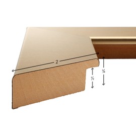 Craig Frames Bauhaus 200, 16 x 16 Inch Brushed Gold Picture Frame Matted to Display a 12 x 12 Inch Photo