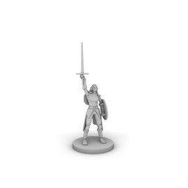 Female Elf Paladin With Sword and Round Shield Tabletop DND Gaming Miniature