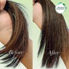 Herbal Essences Treatment Bio: Renew Hair Oil Blend Coconut &