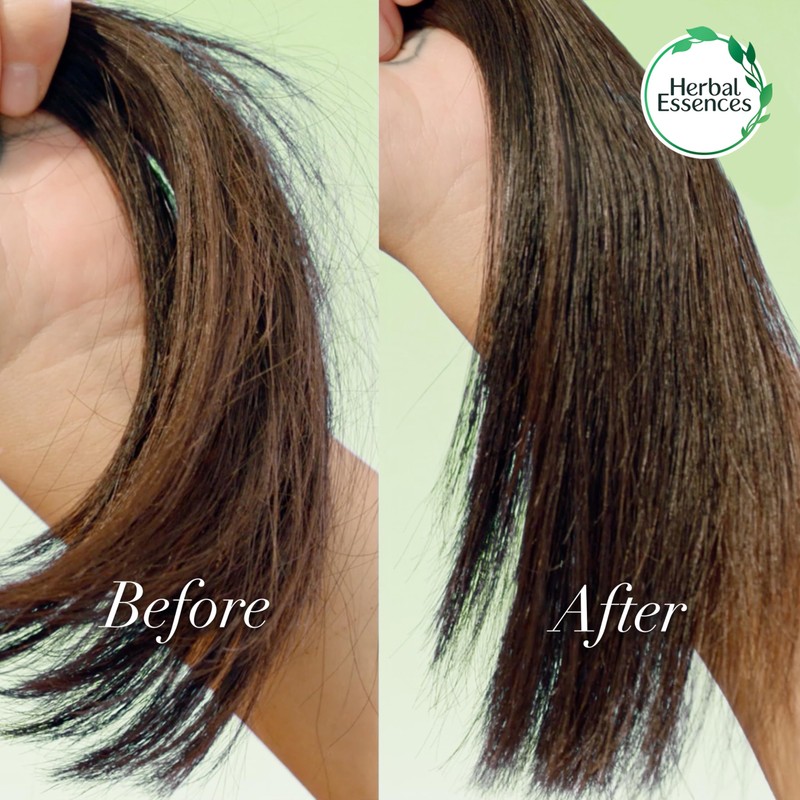Herbal Essences Treatment Bio: Renew Hair Oil Blend Coconut &