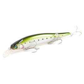 Megabus X-80 Magnum CG Color GG Marvelous Sardine X-80