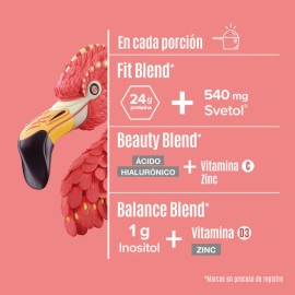 Birdman Proteína Vegetal Fitmingo 510g + Glúteo Peptonas Kiv