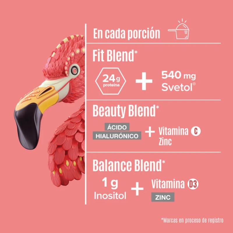 Birdman Proteína Vegetal Fitmingo 510g + Glúteo Peptonas Kiv