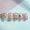 Berry Grid ੈ - Paddy / 베리그리드 ੈ - 패디