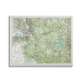 Stupell Industries Yellowstone National Park Continental Divide Map Forest Geography, Design by Daphne Polselli Canvas Wall Art, 20 x 16, Green