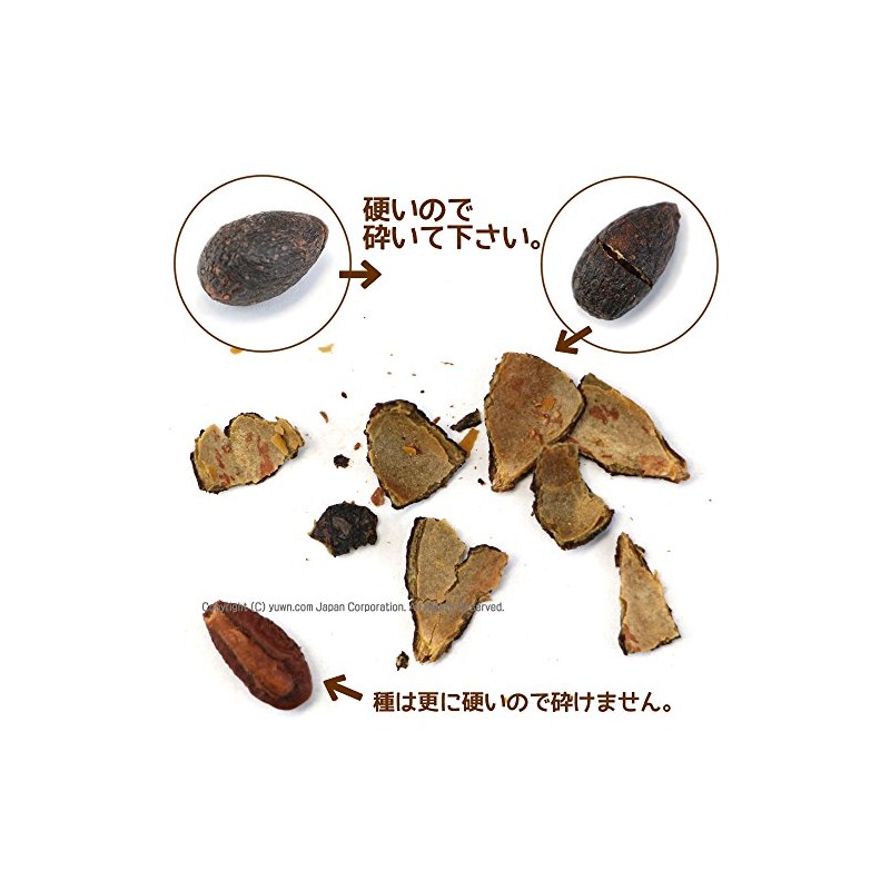 ノコギリヤシ (ソーパルメット) (100g)