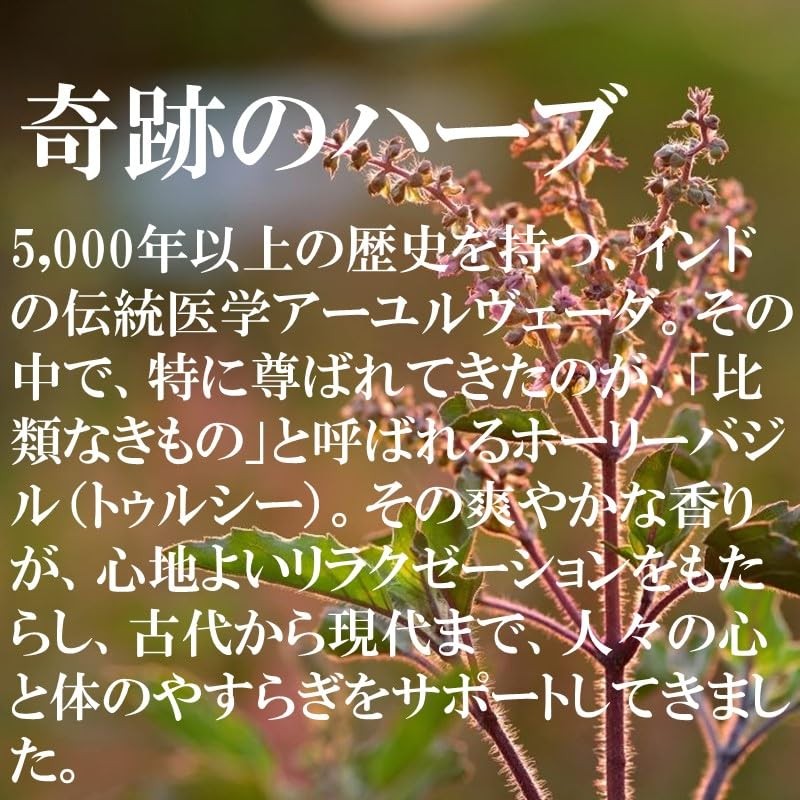 Organic India Tulsi Turmeric Ginger Tea 25 Teabags