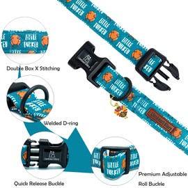Lionheart glory Thanksgiving Dog Collar-Turkey Fall Cute Dog Collars with Plastic Buckle Duty Soft Adjustable Collar for Small Dogs Girls Boys Collars Party Pet Gift